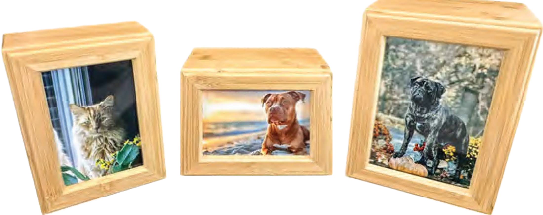 photo urn bamboo.png