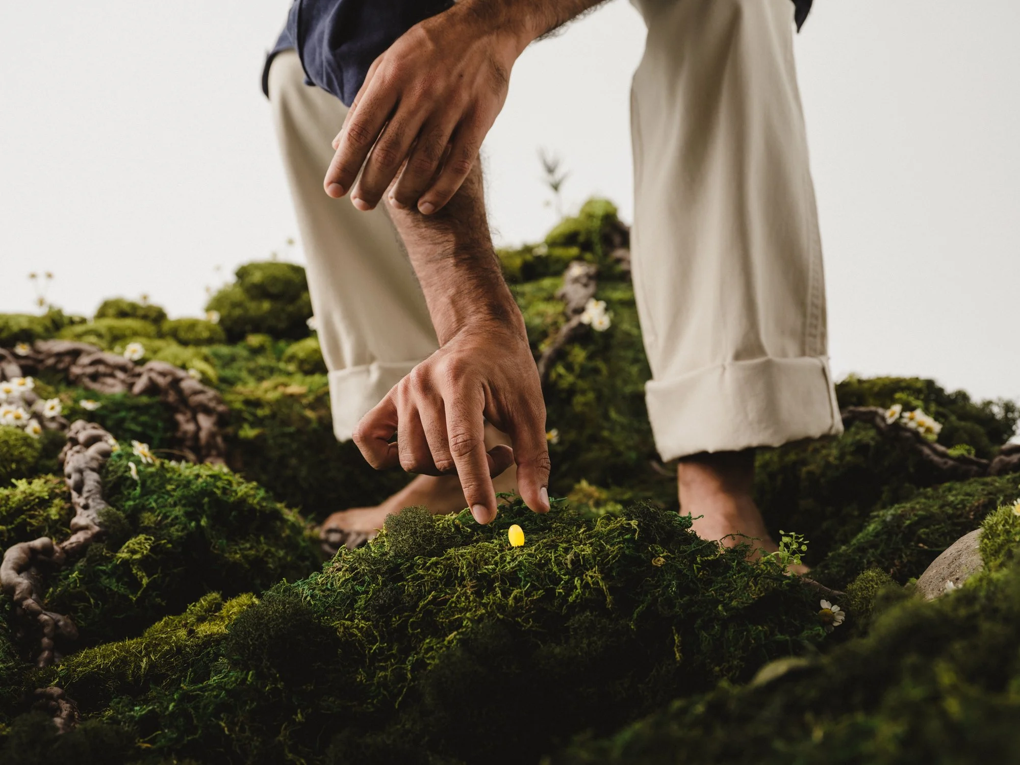 Person touching mossy ground with small yellow flower amid moss and plants.