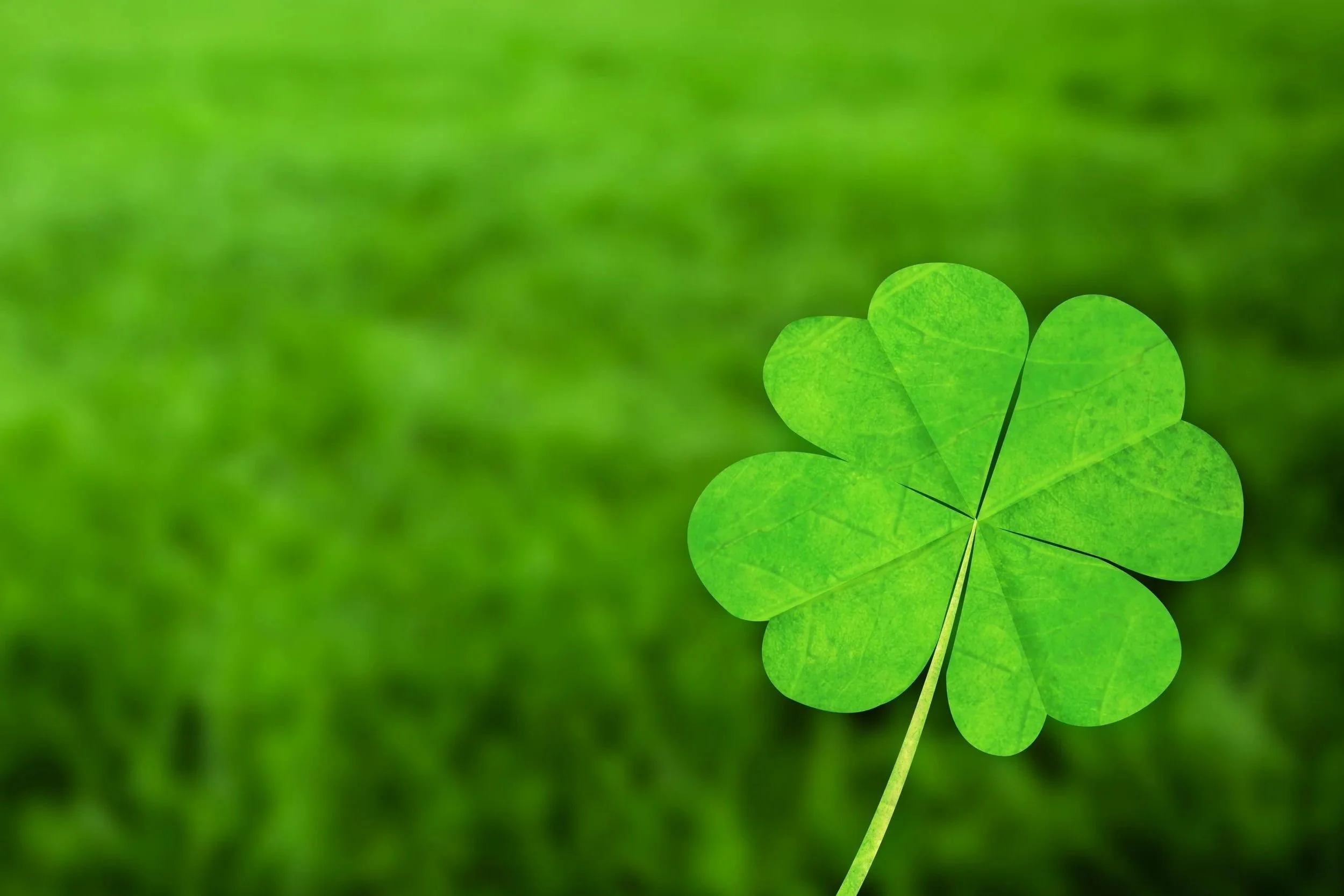 Shamrock Certificate