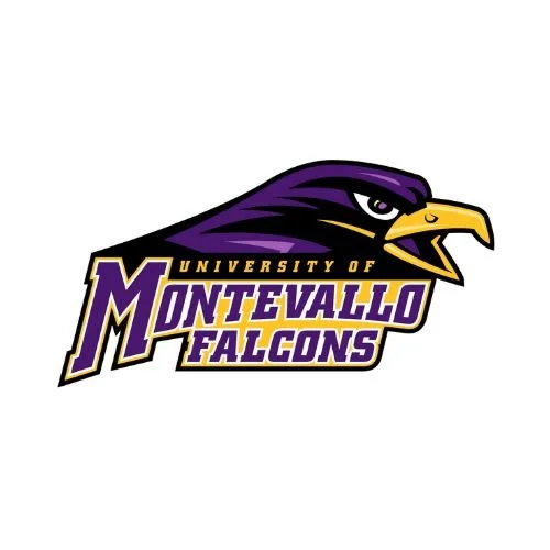 Logo of the University of Montevallo Falcons featuring a stylized falcon head in purple and gold with text.