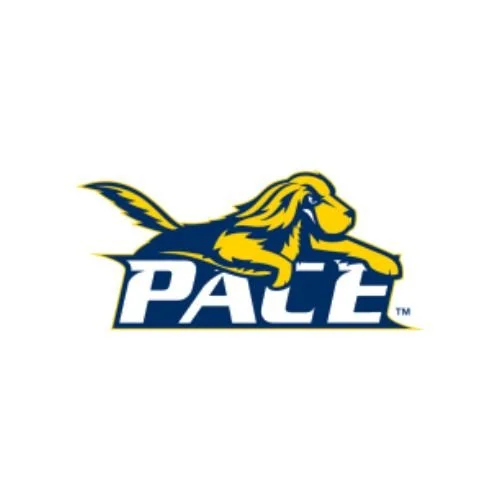 A logo featuring a stylized yellow lion with a blue mane, lying down with the word 'PALL' in bold, uppercase white letters below it.