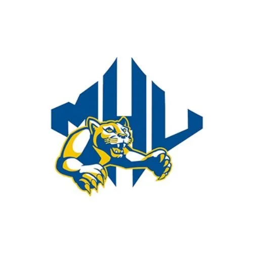 A logo featuring a muscular wildcat with gold and navy blue colors, positioned in front of stylized vertical bars.