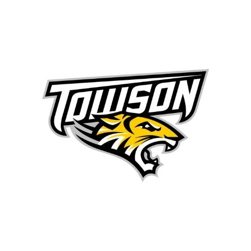 Touison logo featuring bold black and white text with a roaring yellow and black tiger head.