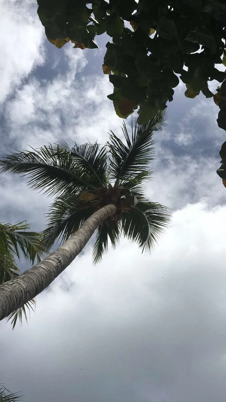 Ethical Considerations for Working with First Generation Caribbean Americans