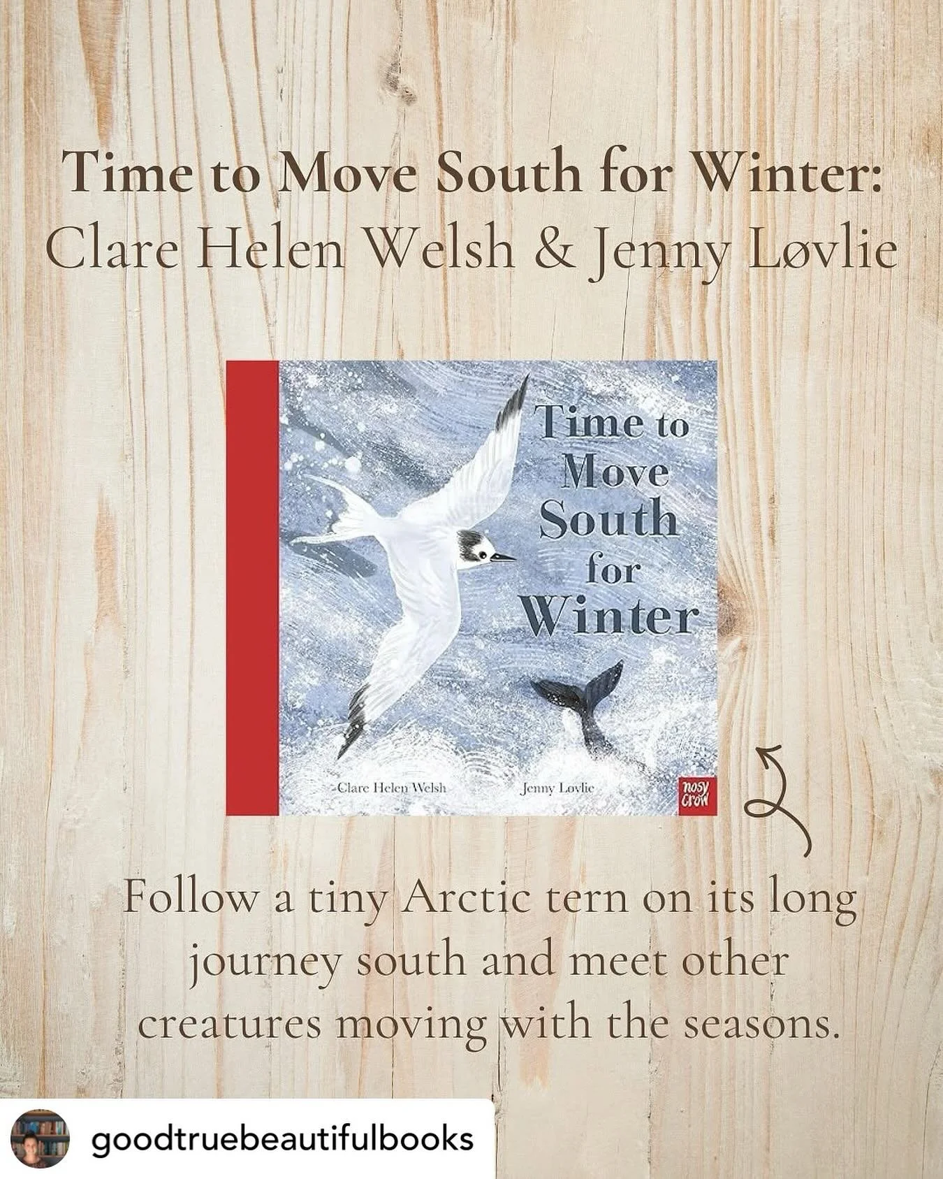 @goodtruebeautifulbooks shares Time to  Move South for Winter as a top book for this time of year🥰🥰 @lovlieillustration @nosycrow &quot;As we edge closer to December, our shelves start to shift from autumn leaves to winter skies. Before our Christm