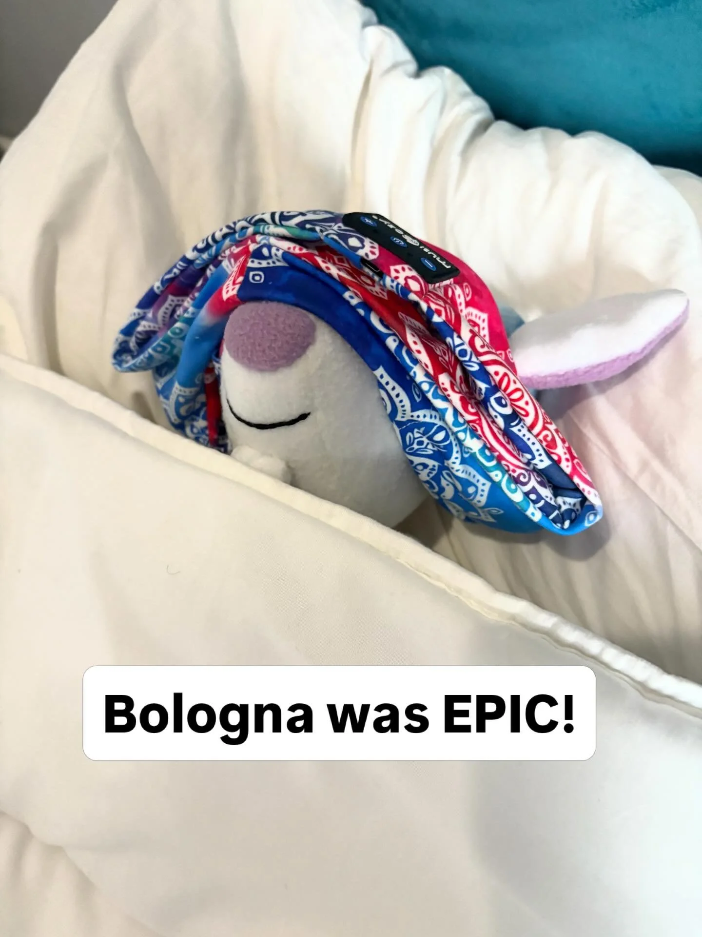 My hooves are hurtsome, my throat is sore... but Bologna was EPIC! The sun even came out for the last day. I'm going into hibernation for a little while but I'll be back soooooooon for my cover reveal and to tell you all about my illustrator extraord
