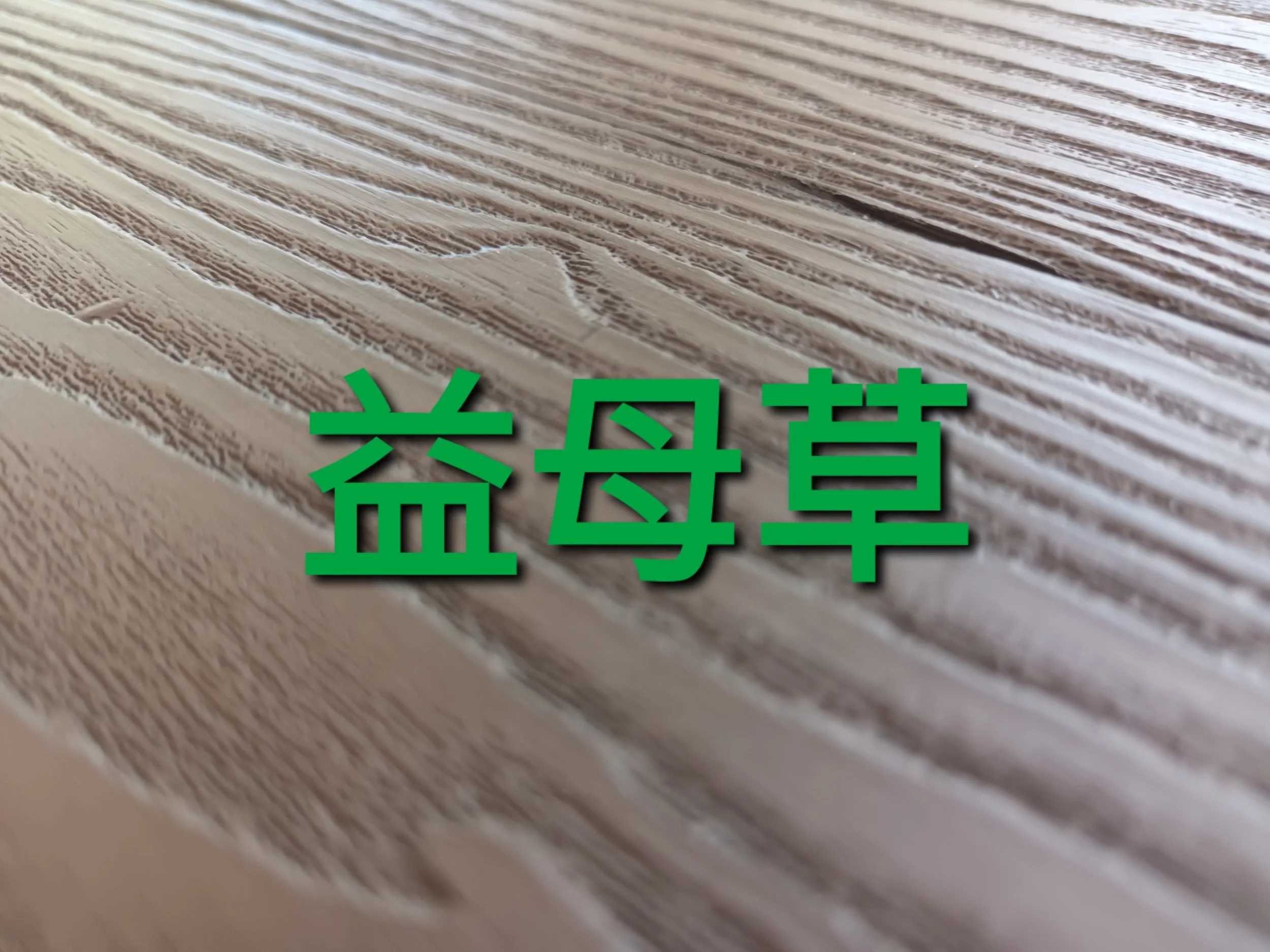 20260317_132436 (1)2.jpg