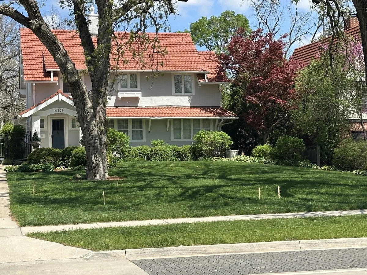 A two-story house with a red tiled roof, white exterior walls, and a front yard with green grass, bushes, and trees, including a large tree with thick branches and a smaller tree with reddish leaves.