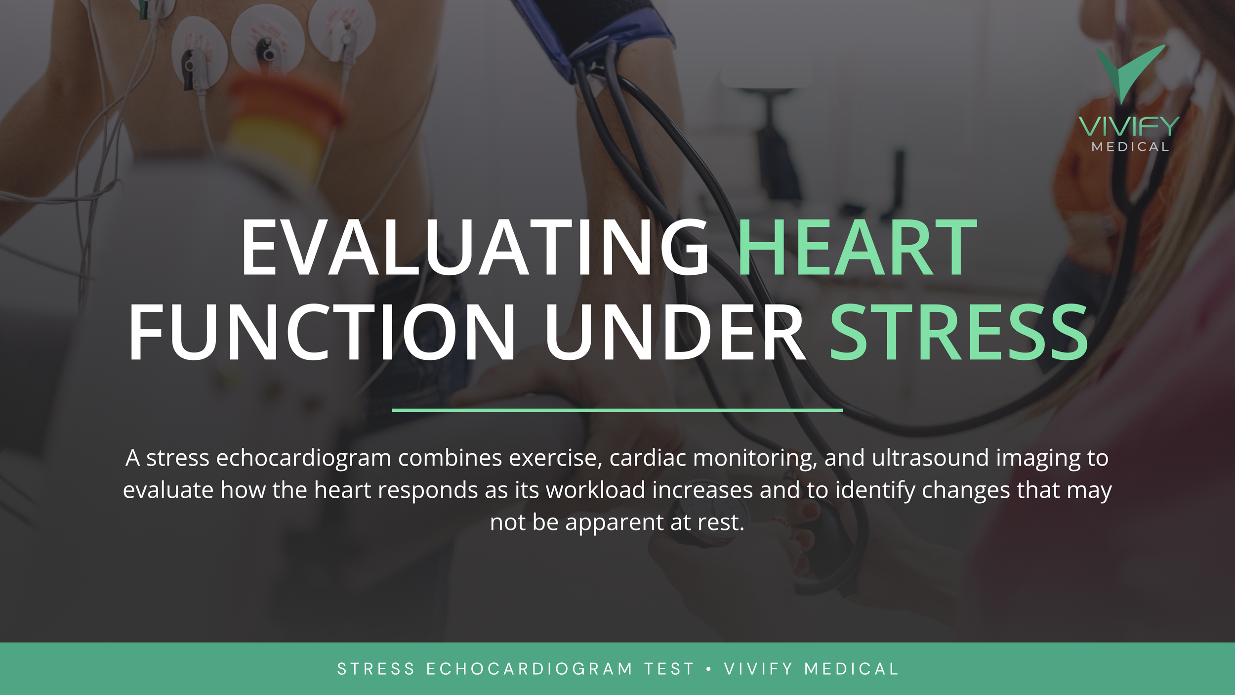 Evaluating Heart Function Under Stress