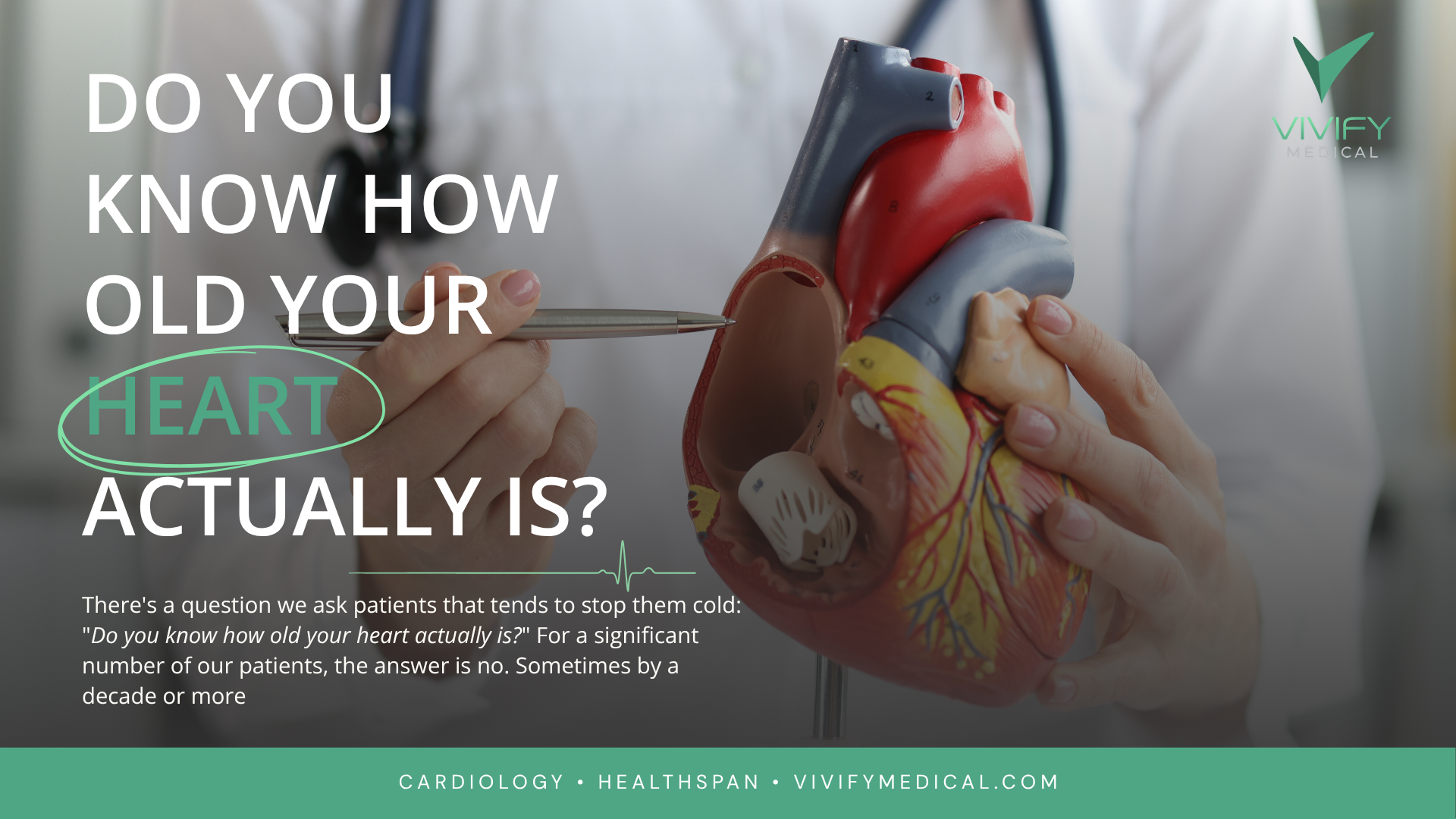 Illustration representing heart age and preventive cardiology with cardiovascular health assessment.