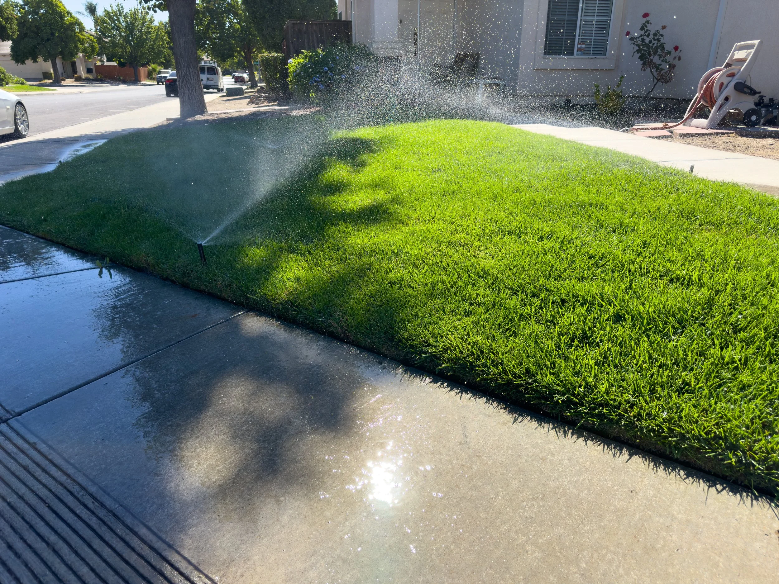 A sprinkler watering a neatly trimmed green lawn on a sunny day in a neighborhood.