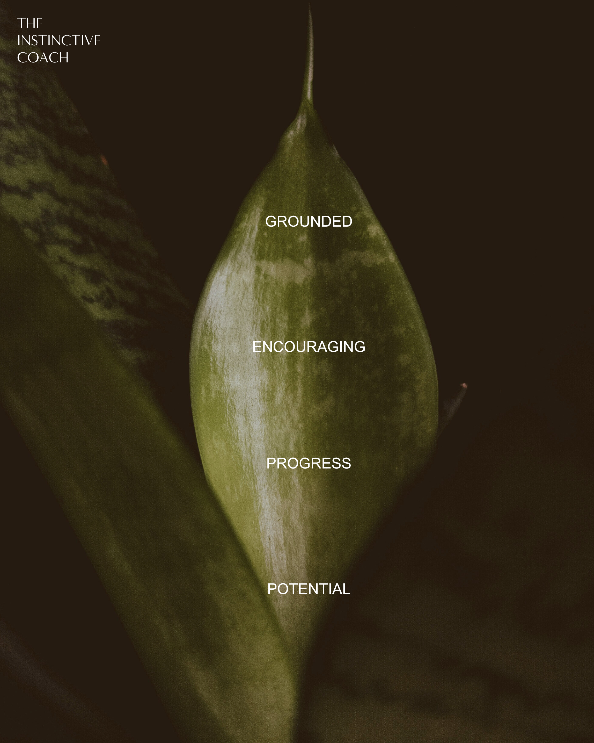 Close-up of a green leaf with words 'Grounded,' 'Encouraging,' 'Progress,' 'Potential' written on it, and the text 'The Instinctive Coach' in the top left corner.
