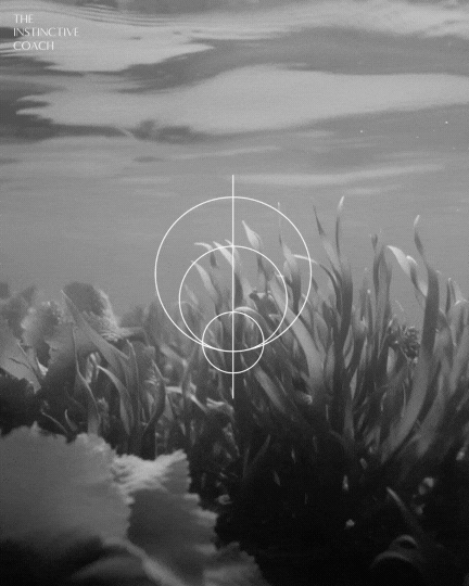 Close-up view of the ocean with a target overlay and tall sea plants in the foreground.