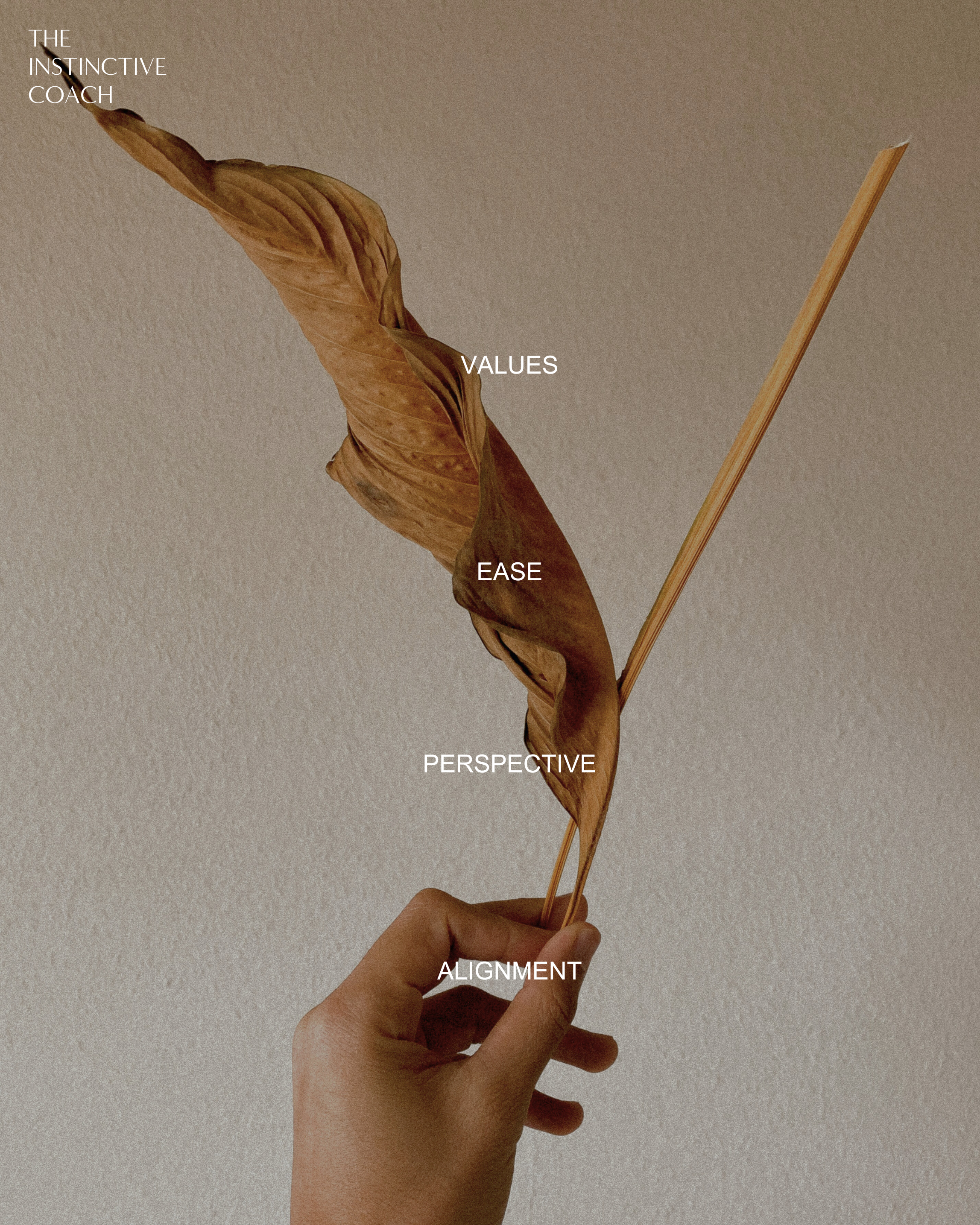 A hand holding a dried brown leaf on a stick against a neutral background, with words overlaid on the image: "THE INSTINCTIVE COACH," "VALUES," "EASE," "PERSPECTIVE," and "ALIGNMENT."