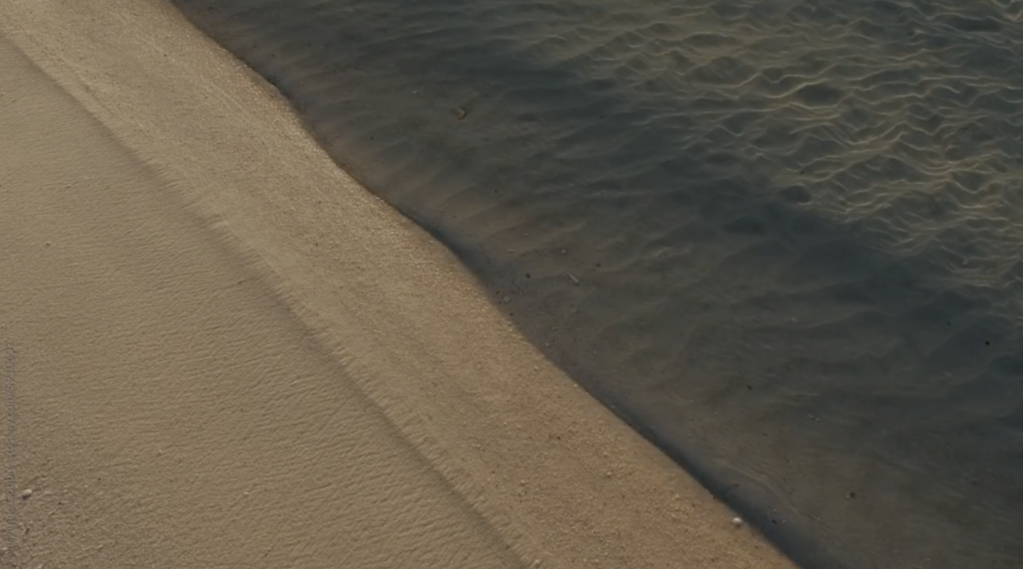 THE INSTINCTIVE COACH_.png