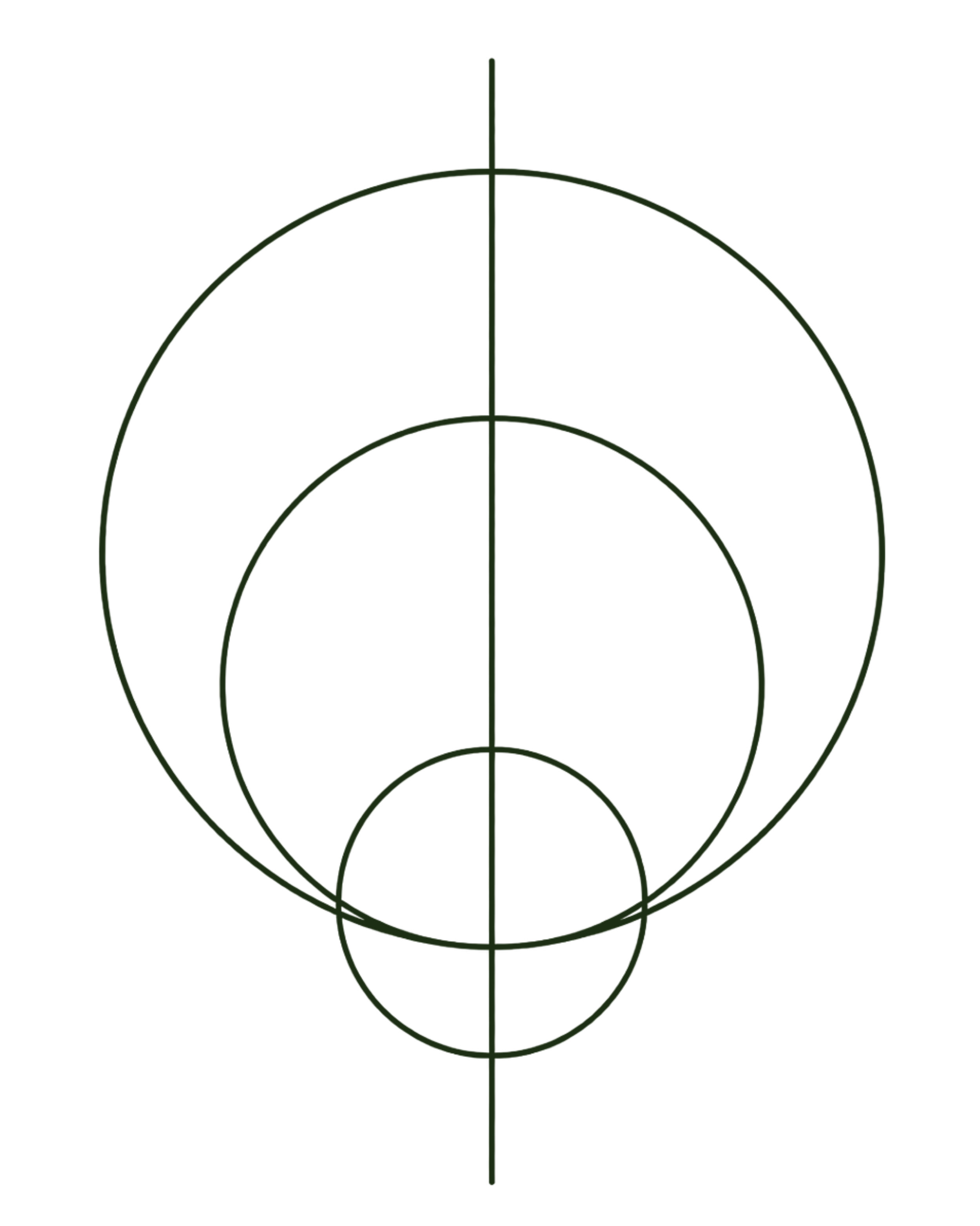A diagram of concentric circles with radiating lines, resembling a target or radar screen, on a black background.