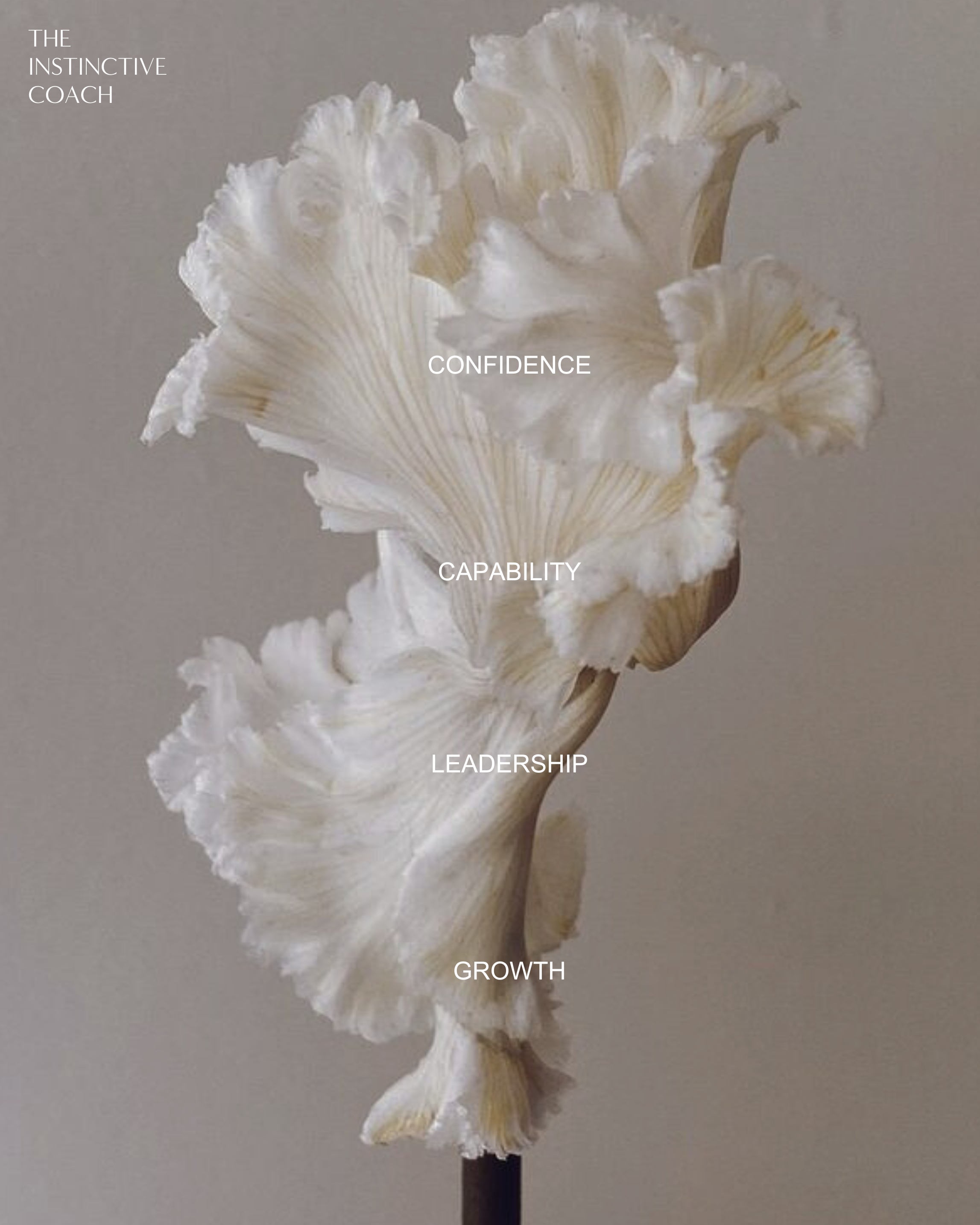 Close-up of a white ginkgo leaf with words overlayed: 'The Instinctive Coach' in the top left corner, and 'Confidence', 'Capability', 'Leadership', and 'Growth' written vertically along the leaf.
