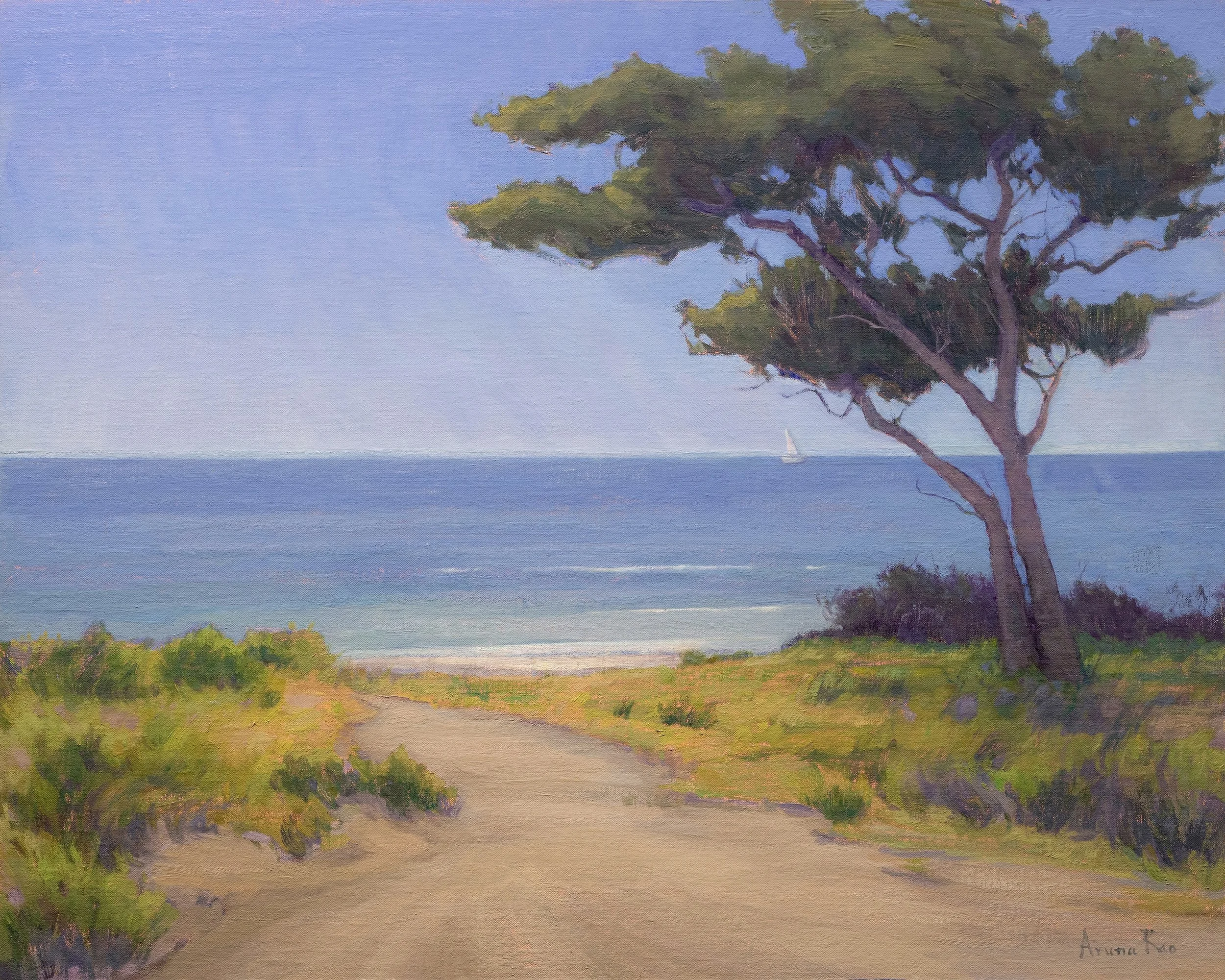 Original coastal landscape oil painting by Aruna Rao featuring a windswept tree, sandy path through sunlit grasses, and a distant sailboat on a calm blue sea. 24 × 30 inches, oil on linen.