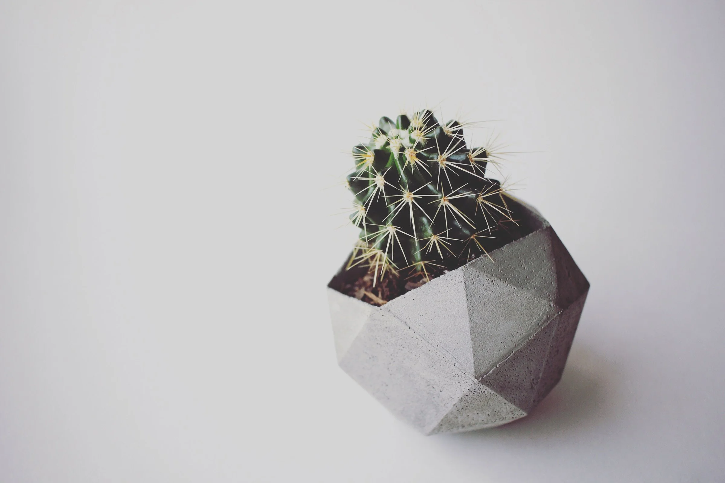Custom concrete planters for corporate gifts and branding. Durable, handcrafted planters made in the USA with healthy, high-performance concrete.