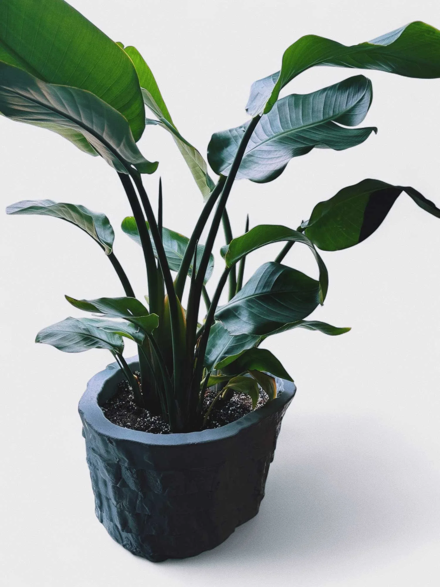 Architectural concrete planter in silica-free high-performance concrete