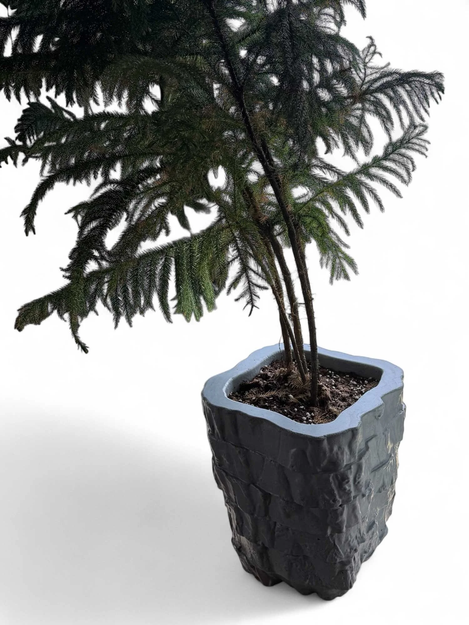 Custom concrete planter showing broken-stone geometry and shadow play