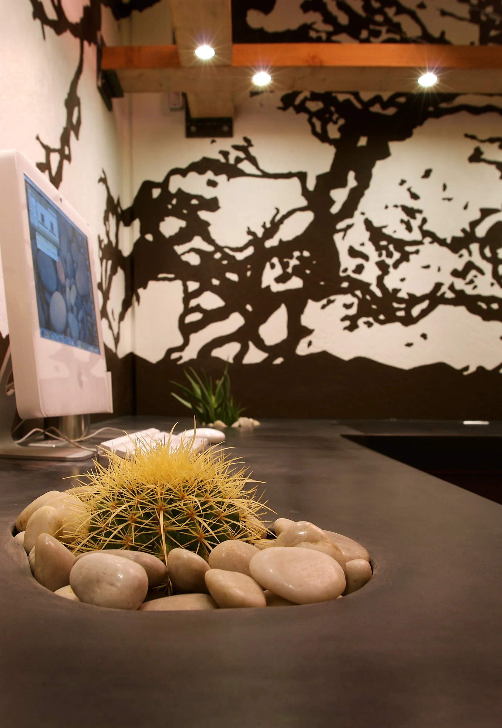 Handcrafted studio countertops in GFRC concrete. An experimental project exploring custom seams, color, and integrated planter design in Tempe, Arizona.