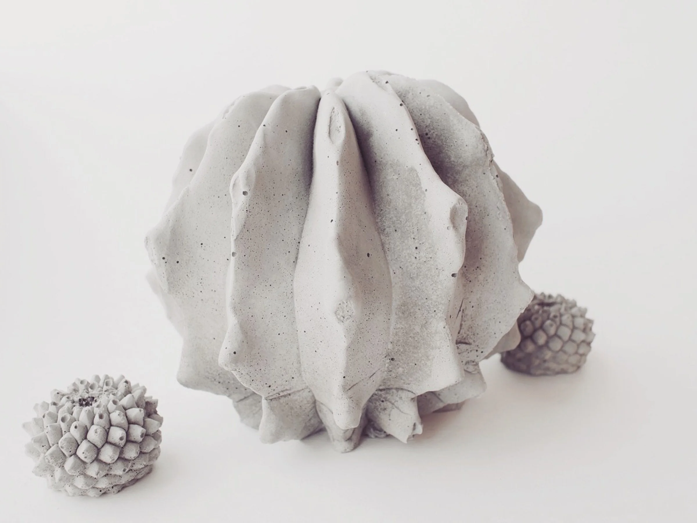 Concrete cactus and concrete cacti handcrafted in GFRC. Memorable promotional gifts clients keep and cherish - perfect for designers, architects, and brands.