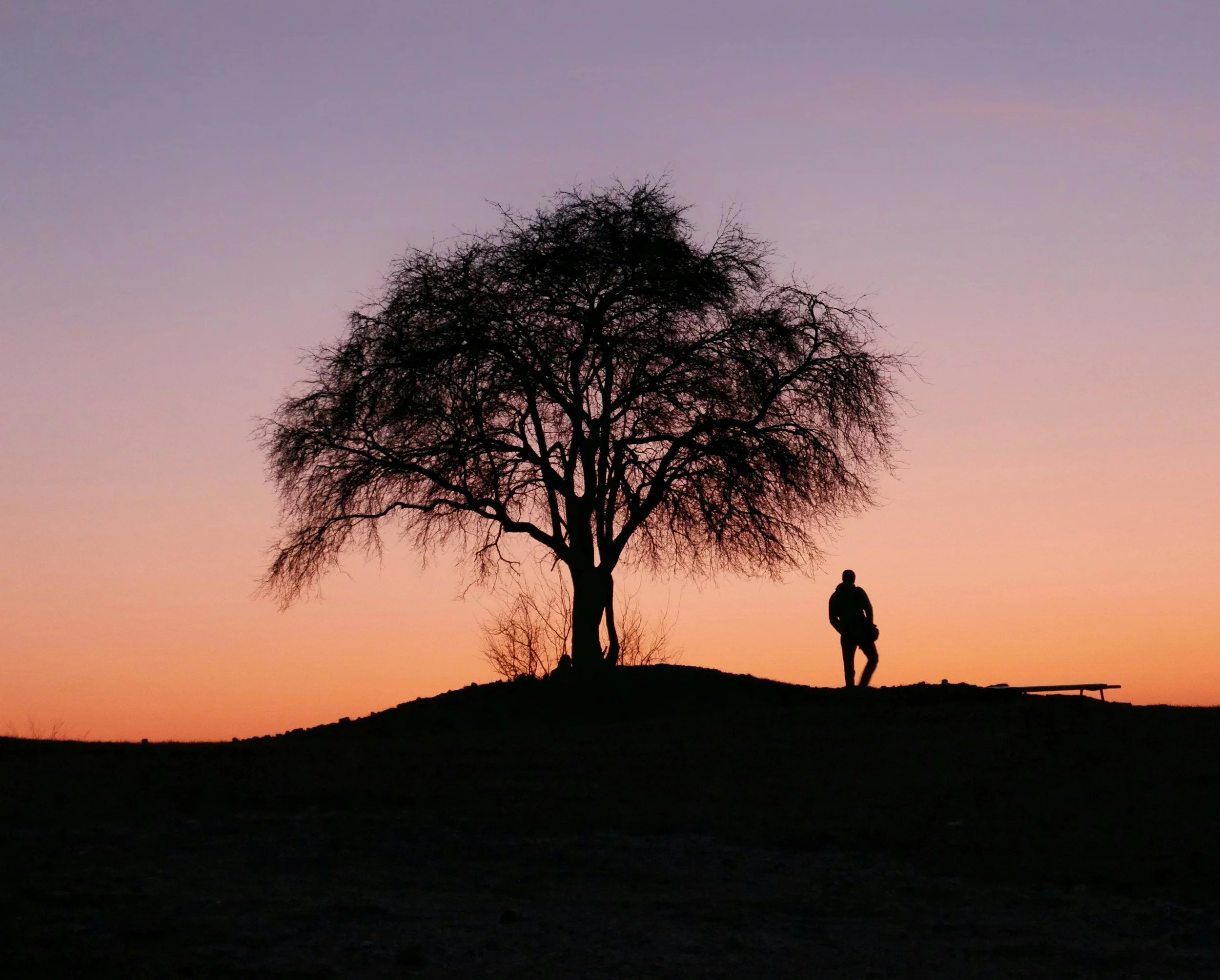 Silhouette of a person standing near a large tree on a hill during sunset with a colorful sky.