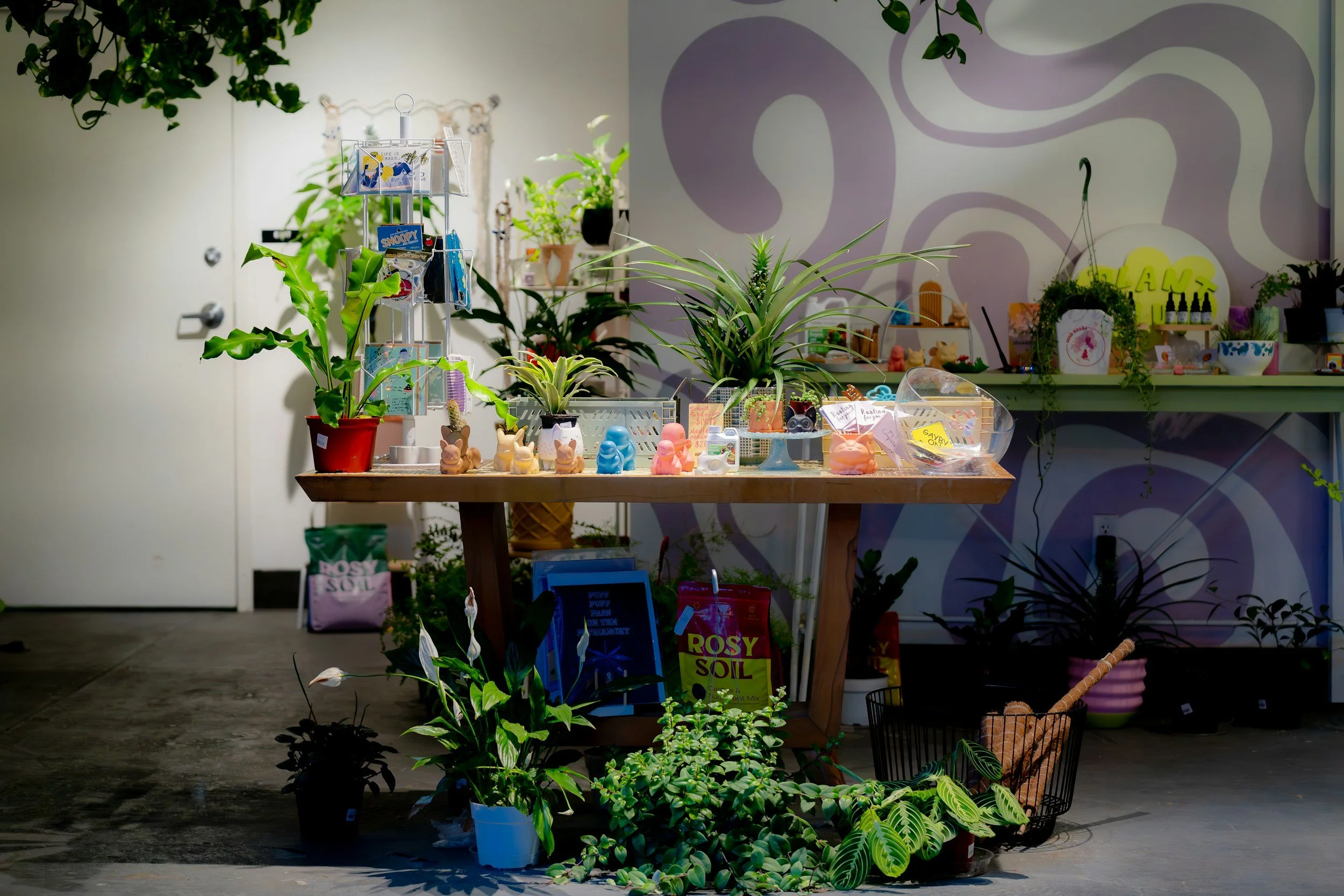 Brinkley Lodge opens its garden once again with plant sale in support of the NSPCC