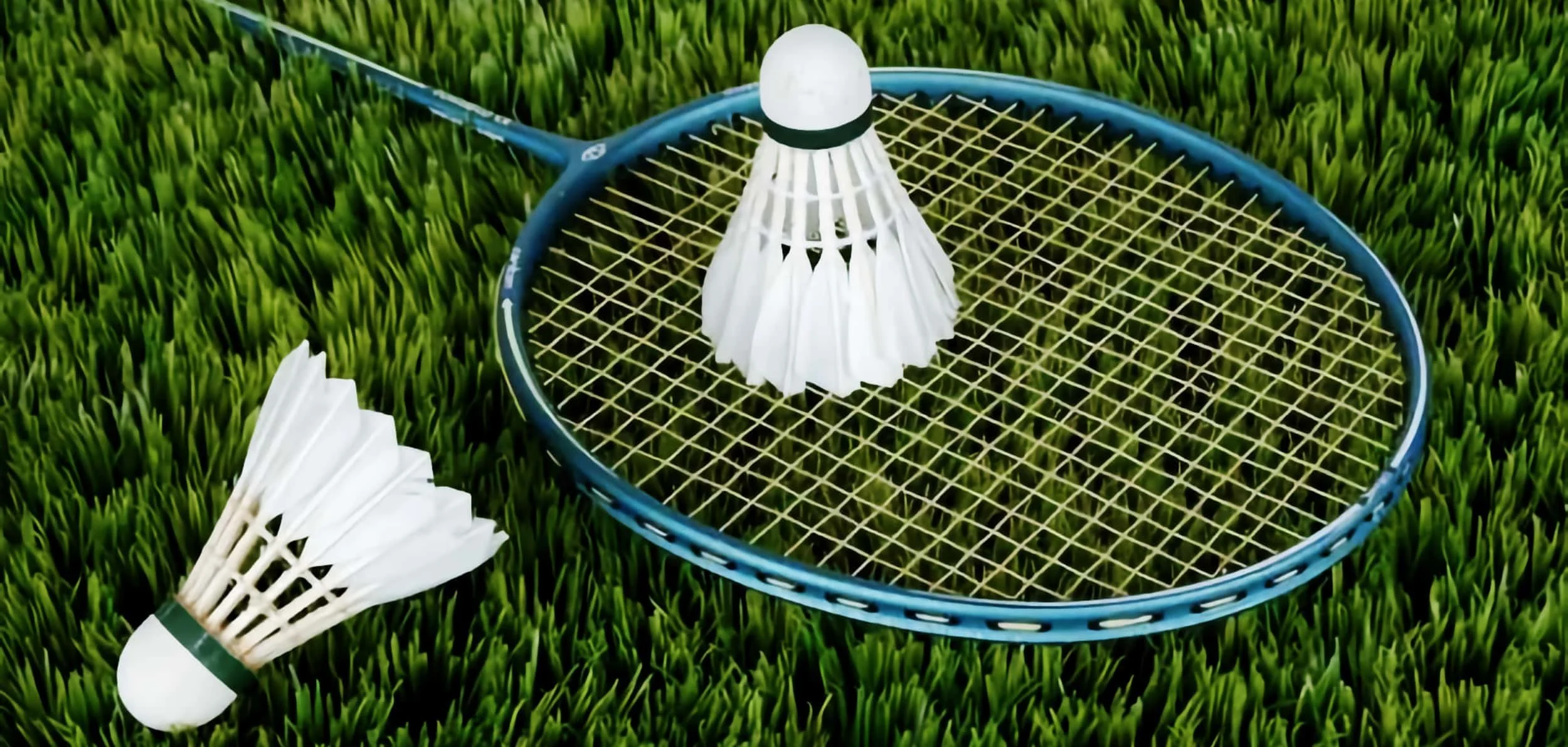 Shuttlecock and badminton racket on grass field.