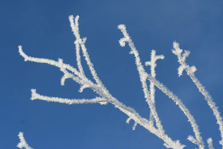 Sky with white contrails from airplanes creating patterns in the blue sky.