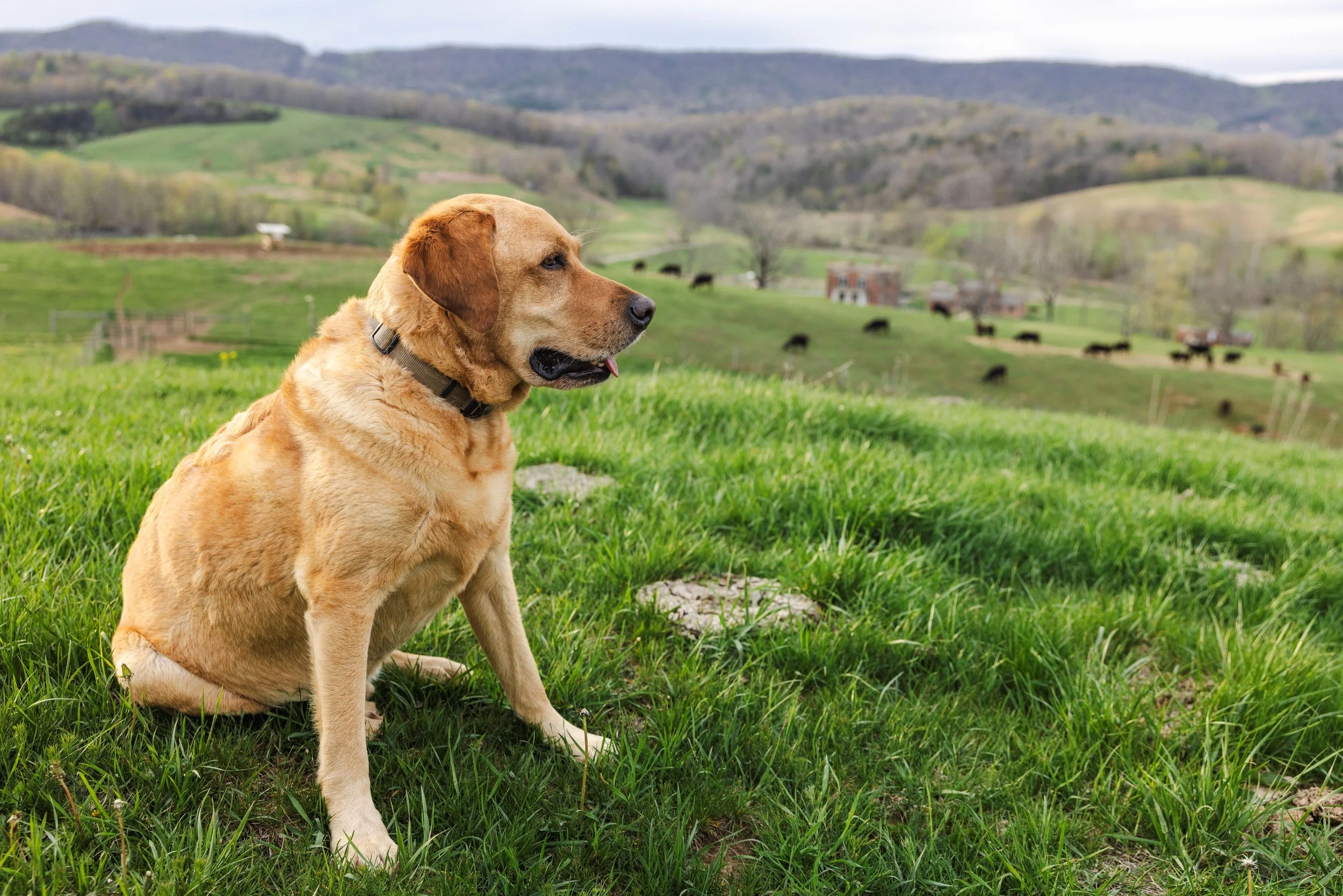 Friend of Belle Hampton.jpg