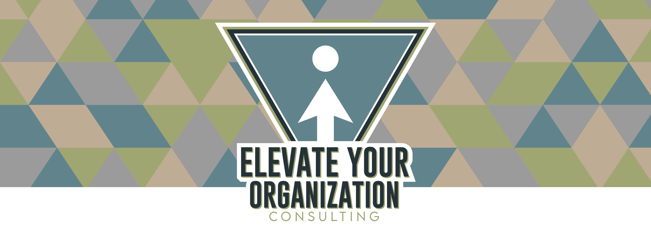 Logo with a triangle and arrow pointing upward, with the text 'Elevate Your Organization Consulting' beneath it.