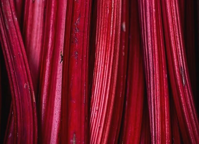 Like most veggies, rhubarb is low in calories and makes for a super yummy and healthy dessert option when paired with fruits like berries, BUT you can also use the rhubarb stalk in other dishes like salads. Just remember to avoid the leaves.