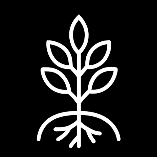 White line drawing of a plant with leaves and roots on a black background.