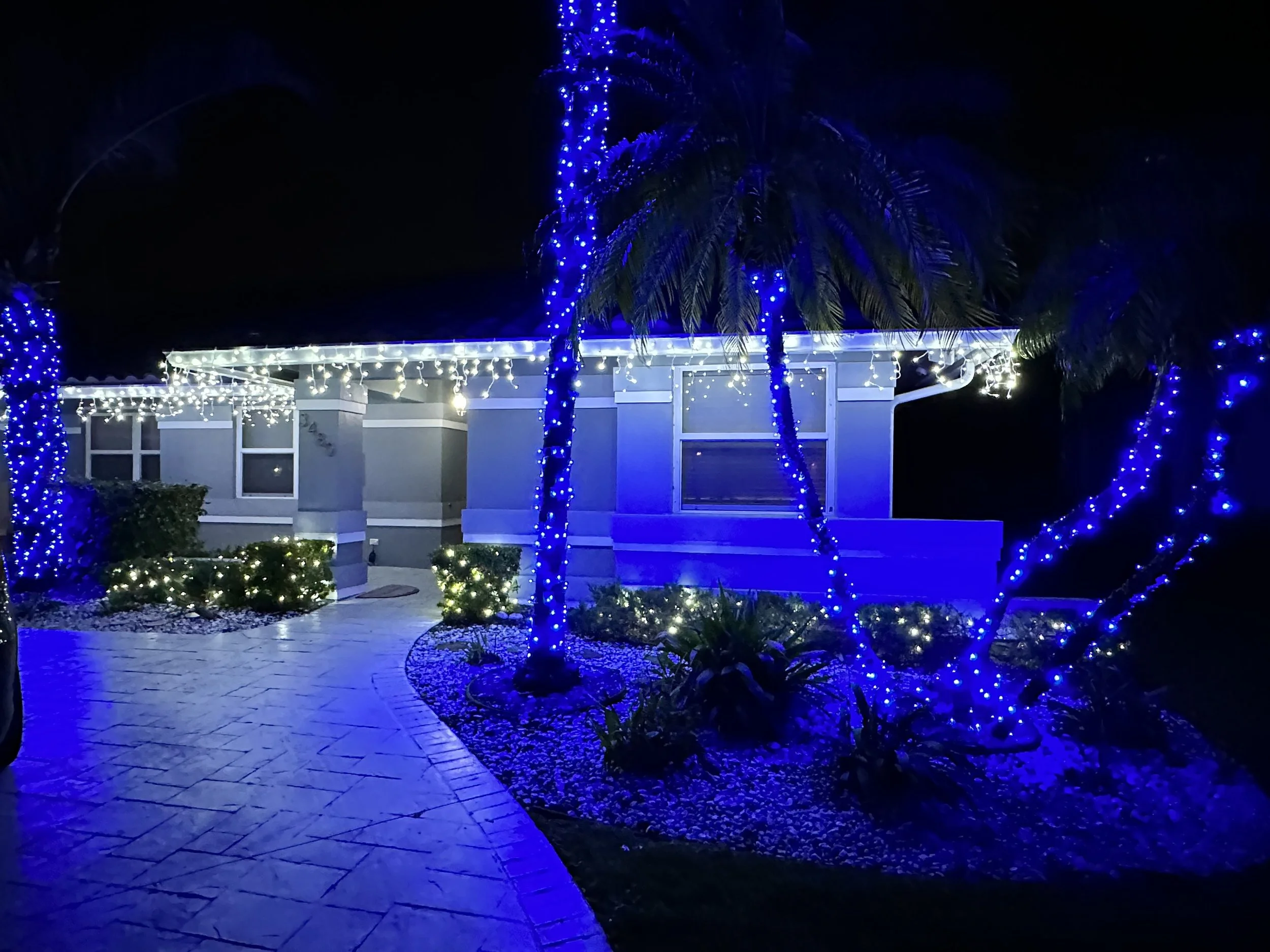 A house decorated with white and blue Christmas lights at night, with blue lights on the trees, white icicle lights on the roof, and lights outlining bushes and walkway.