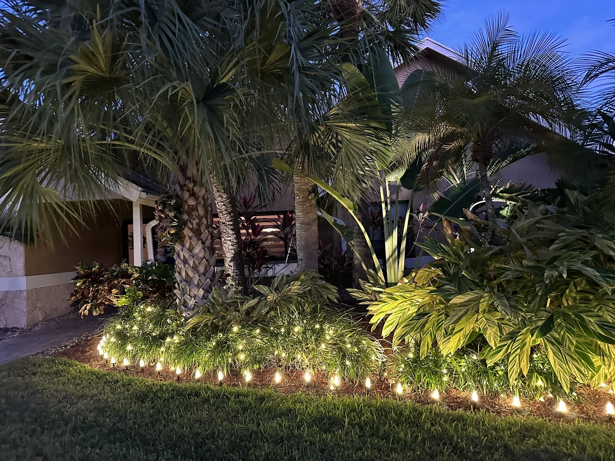 Nighttime view of a lush tropical garden with palm trees and large leafy plants, illuminated by string lights along the ground and a house with beige walls and stone accents in the background.