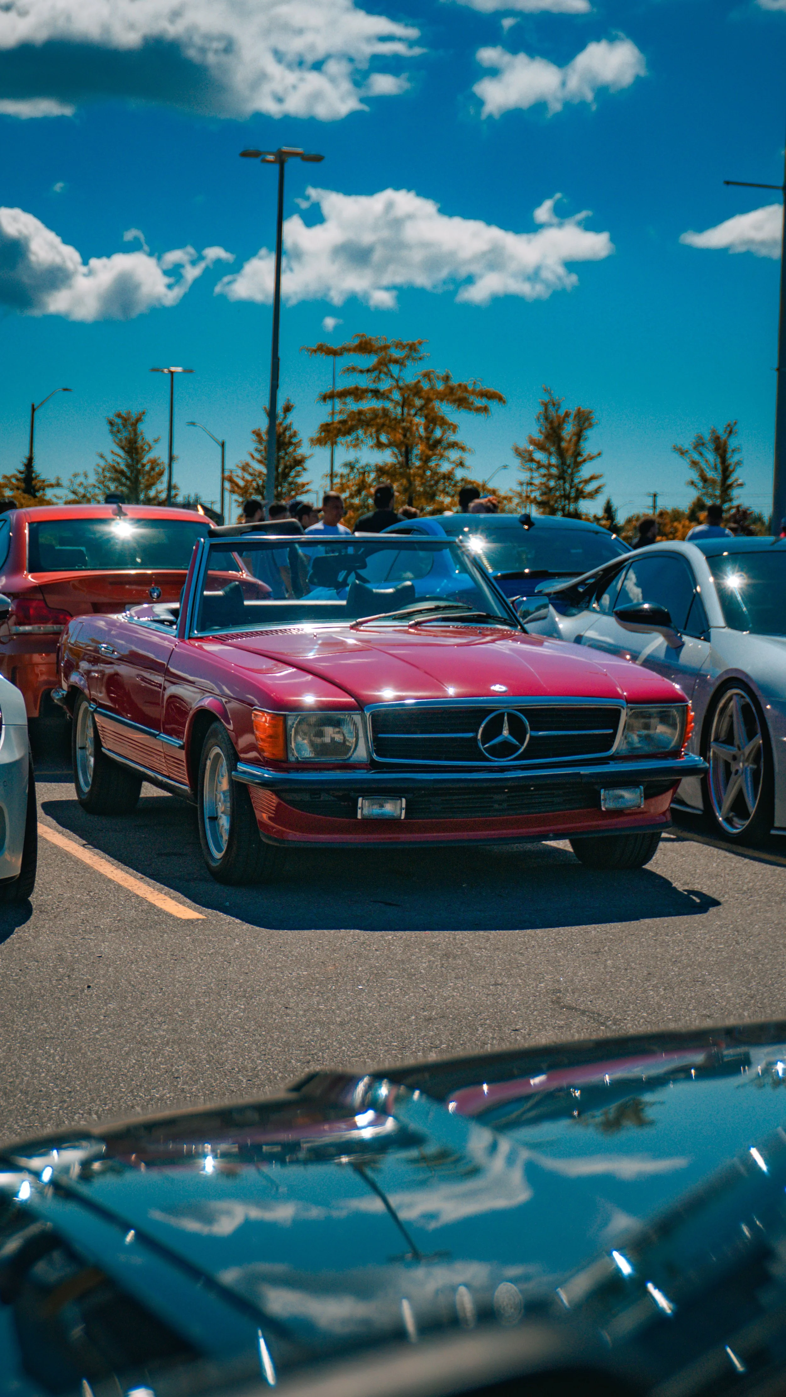 DSC06429.jpg