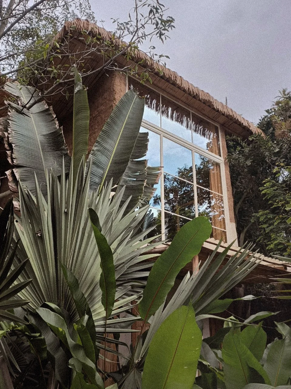 Casa de madera con ventanas grandes y techo de palma, rodeada de plantas tropicales