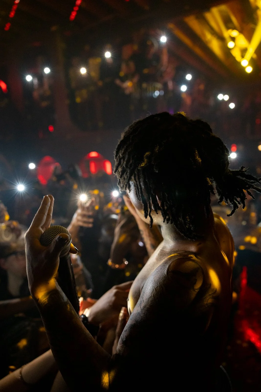 A shirtless performer with dreadlocks holding a microphone on stage, with an audience in the background illuminated by phone lights.