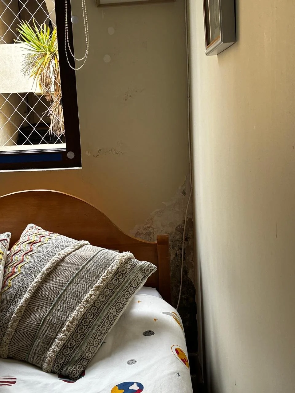 WhatsApp Image 2025-11-28 at 11.40.20.jpeg