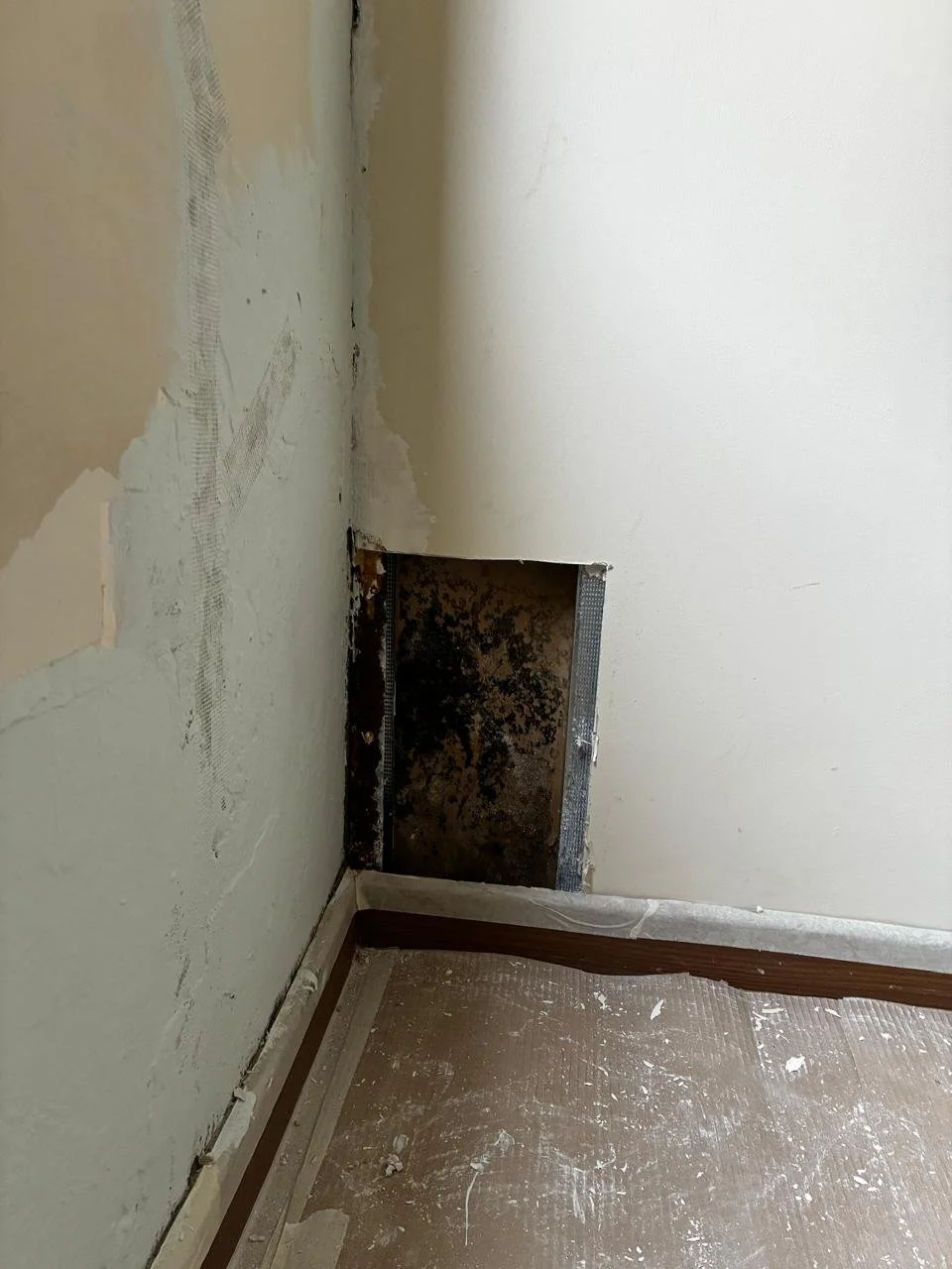 WhatsApp Image 2025-11-28 at 11.40.21 (3).jpeg