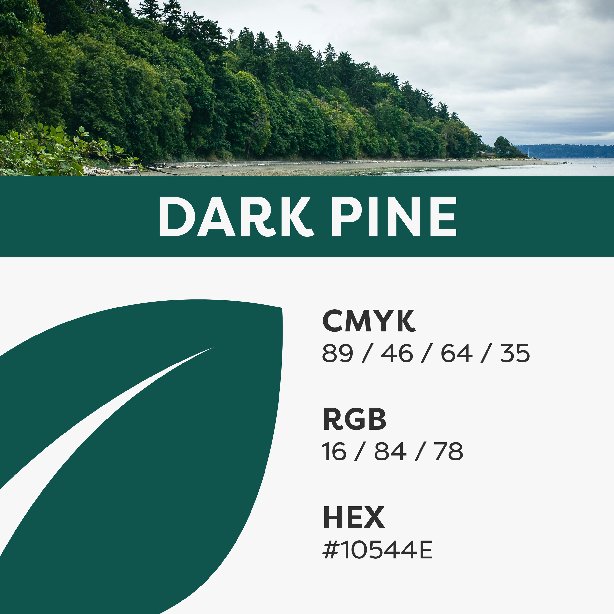 DARKPINE.png