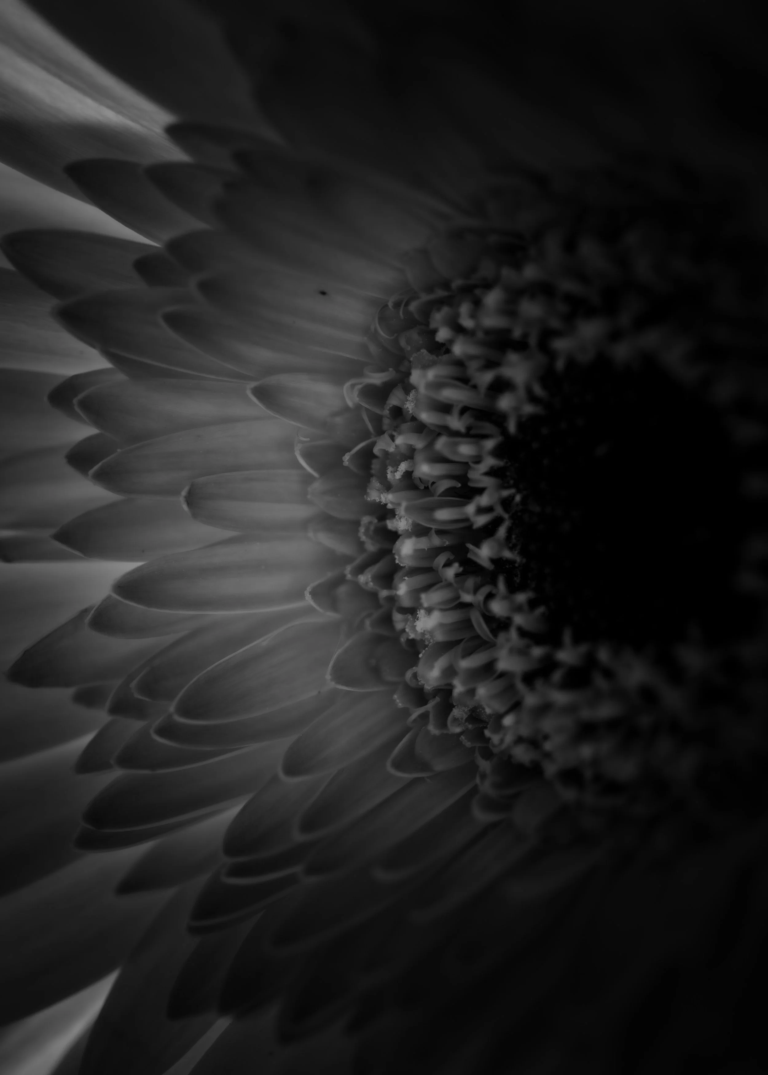 Prints-16.jpg