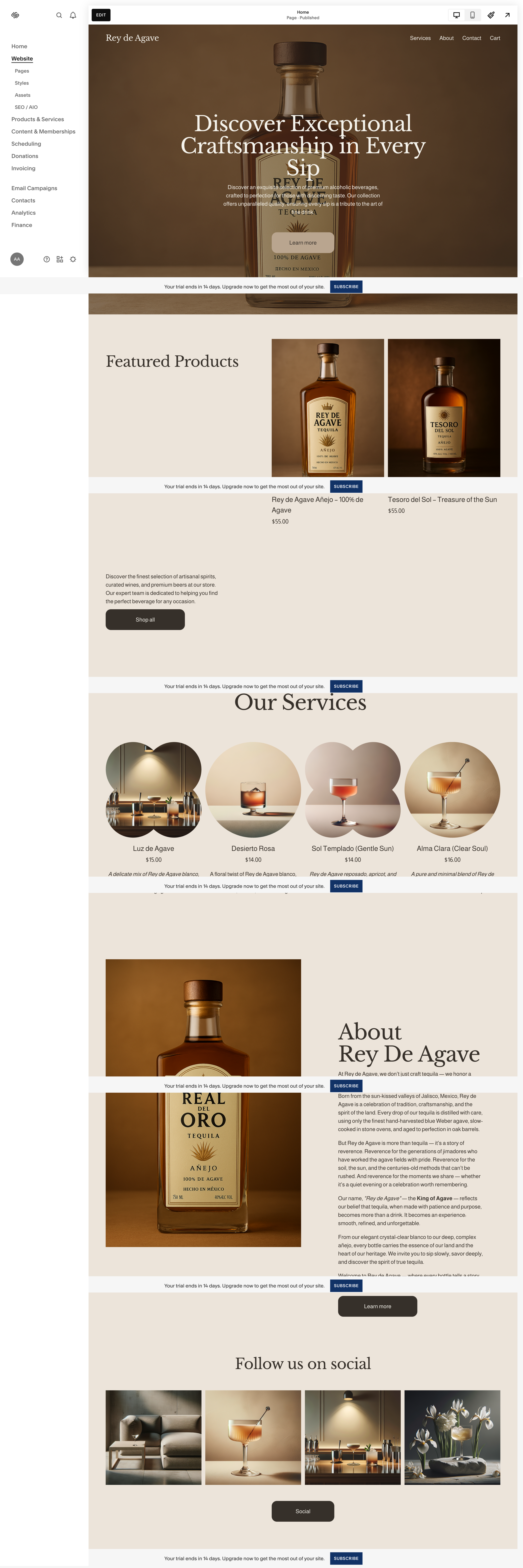 screencapture-begonia-terrier-65hc-squarespace-config-website-2025-08-13-11_01_57.png