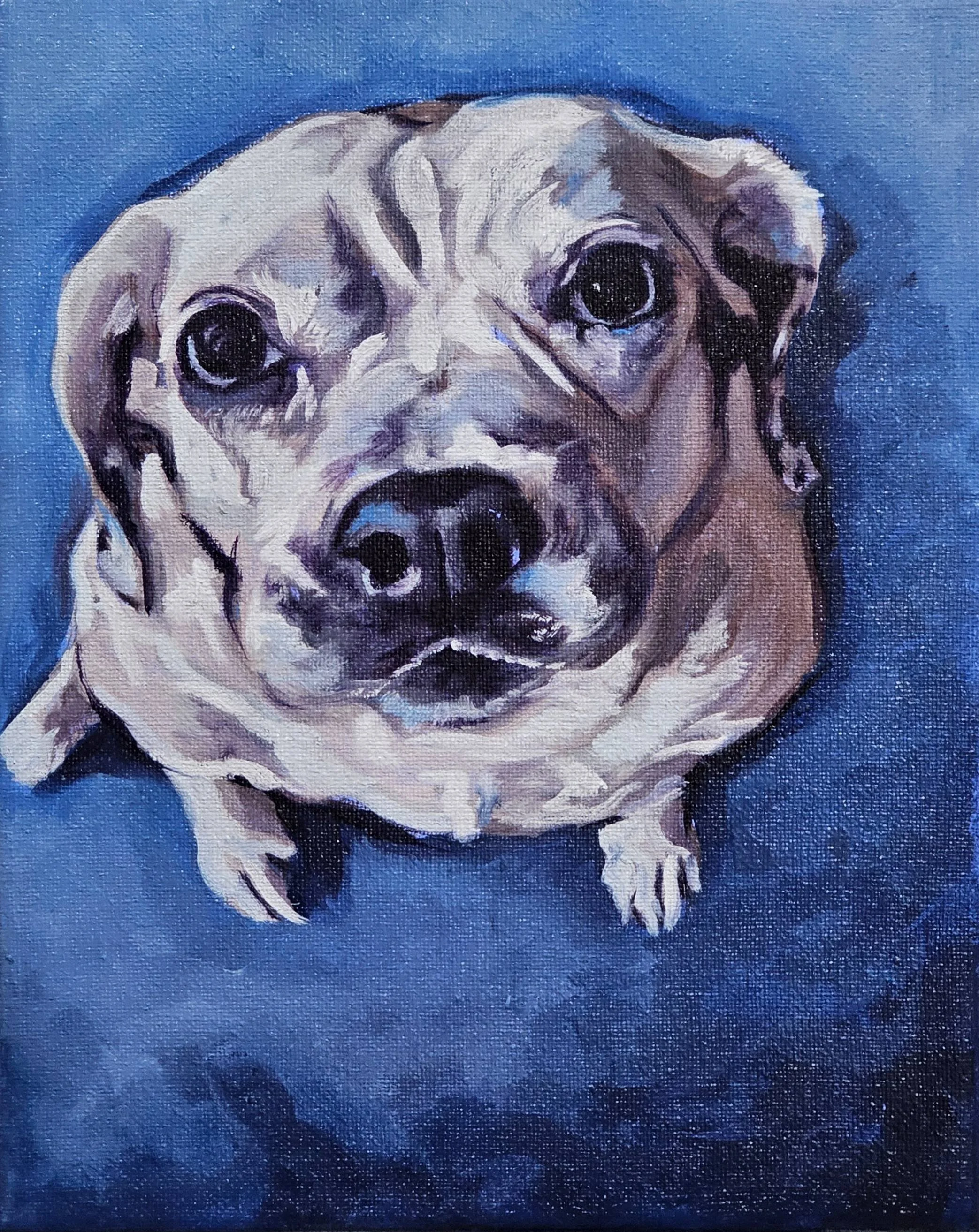 20250305_214558 crop.jpg