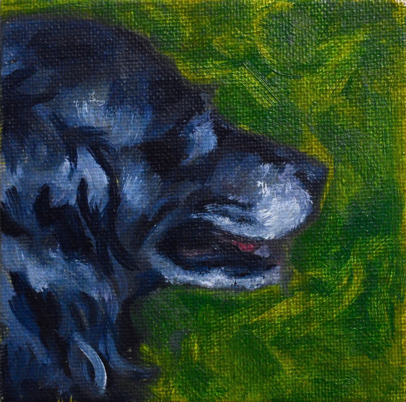 fiona small painting (edit crop).jpg