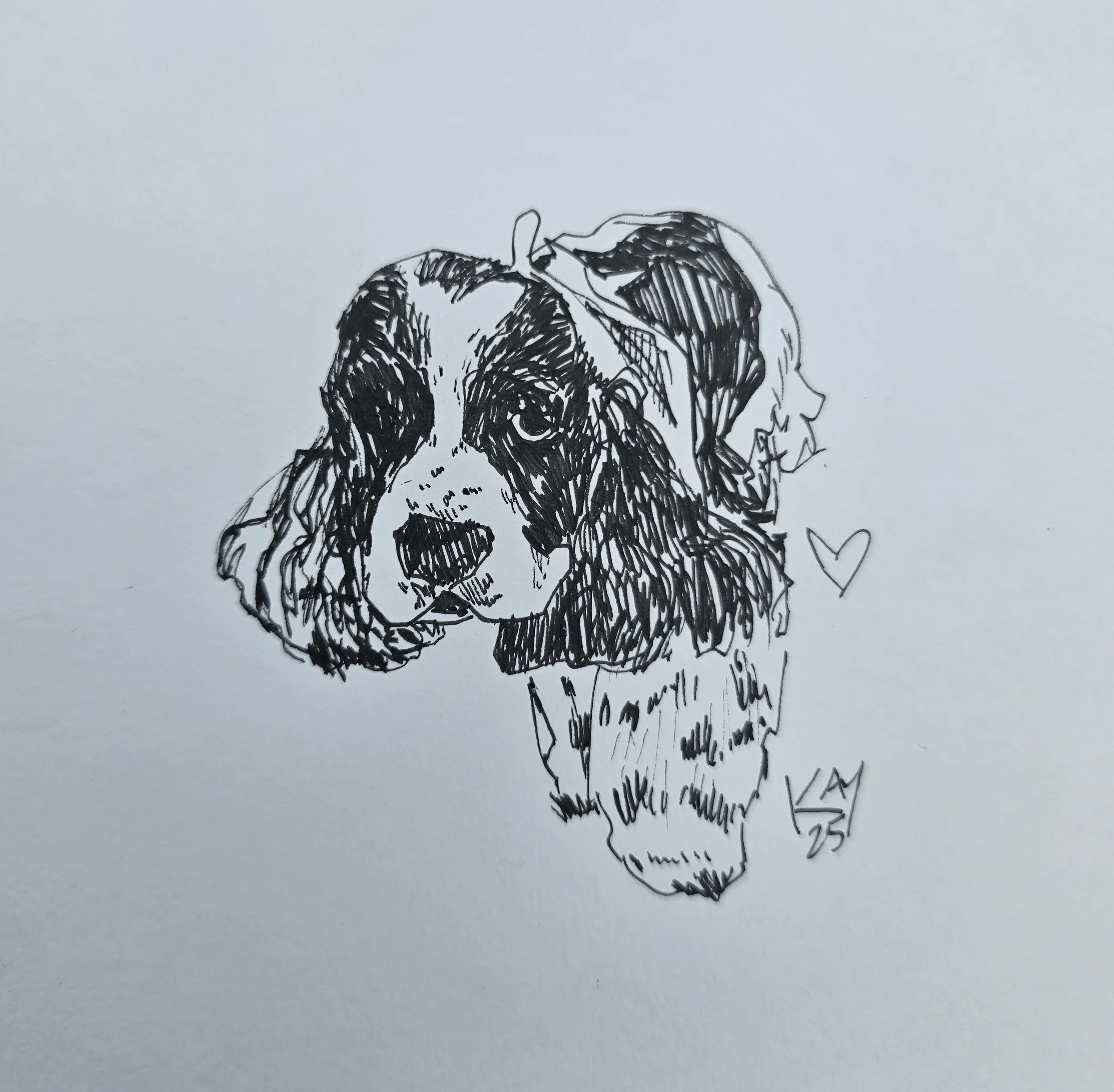 20250809_130151 copy.jpg