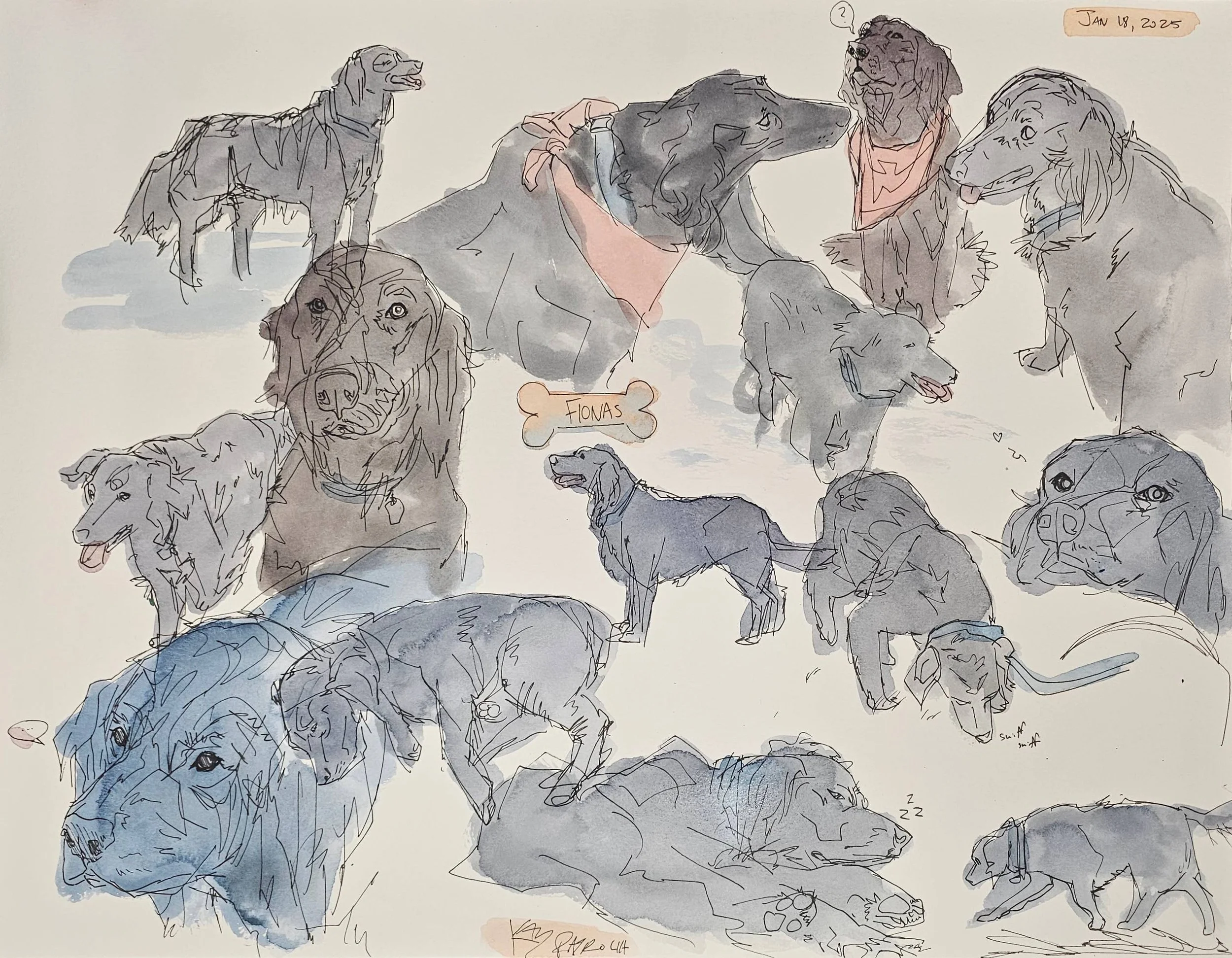 20250118_170136 crop.jpg