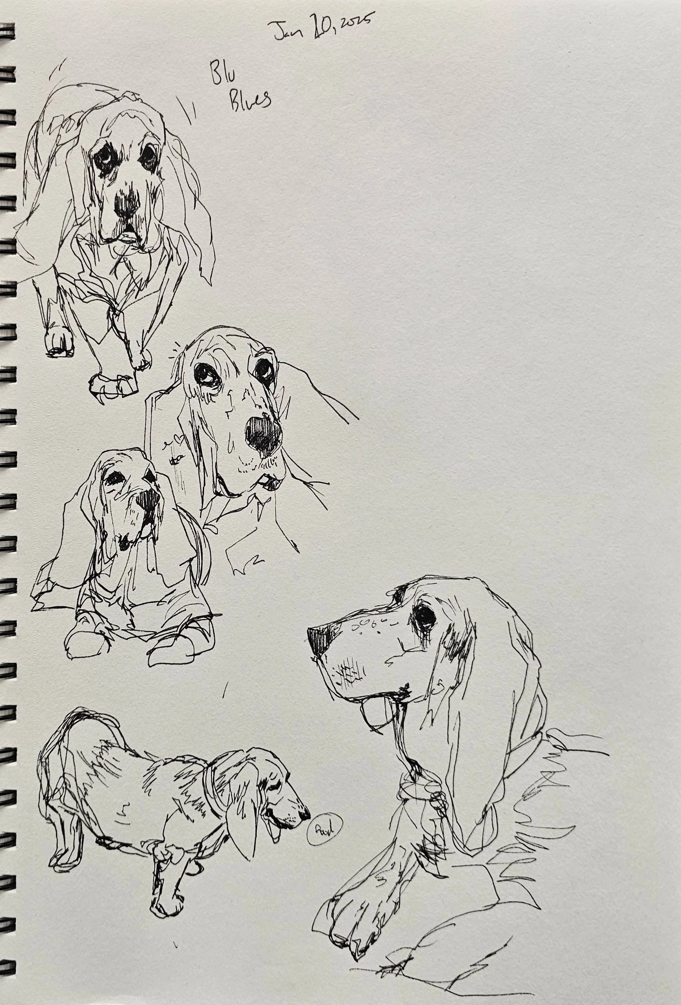 20250120_170817 crop.jpg